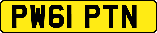 PW61PTN