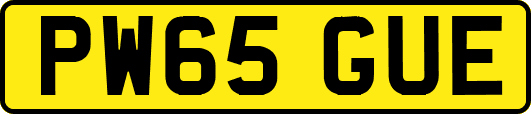 PW65GUE