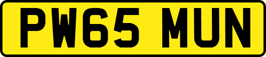 PW65MUN