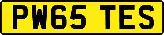 PW65TES