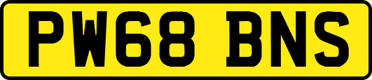 PW68BNS