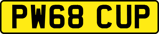 PW68CUP