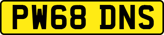 PW68DNS