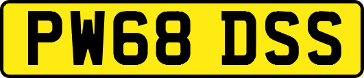 PW68DSS