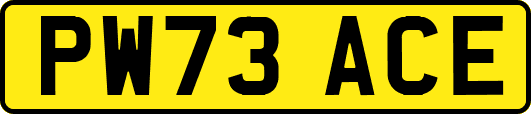 PW73ACE