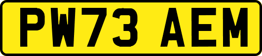 PW73AEM
