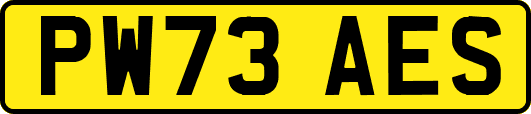 PW73AES