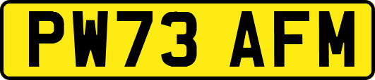PW73AFM