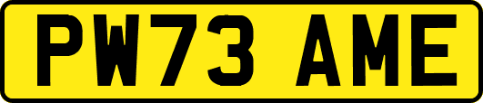 PW73AME