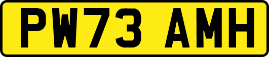 PW73AMH