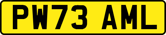 PW73AML