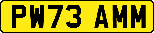 PW73AMM
