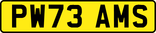 PW73AMS