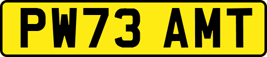 PW73AMT