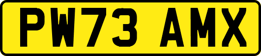PW73AMX