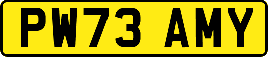 PW73AMY