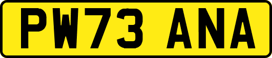 PW73ANA