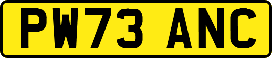 PW73ANC