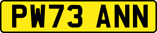 PW73ANN