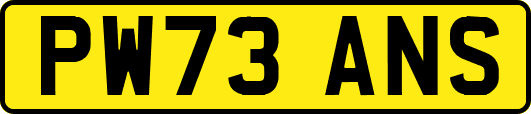 PW73ANS