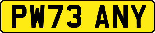 PW73ANY