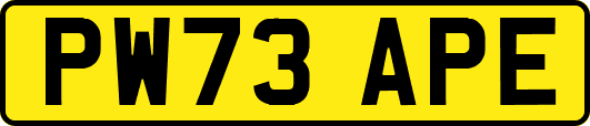 PW73APE