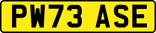 PW73ASE
