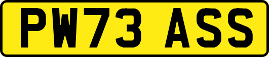 PW73ASS