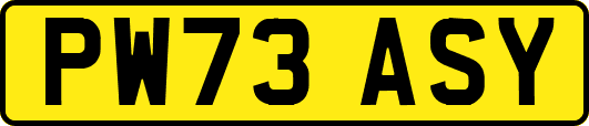 PW73ASY