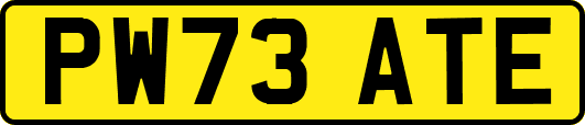 PW73ATE