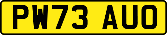 PW73AUO