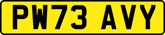 PW73AVY