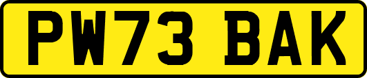 PW73BAK