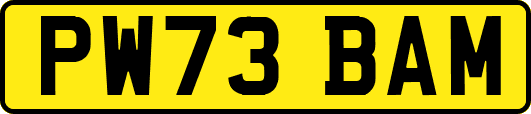 PW73BAM