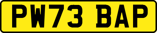 PW73BAP