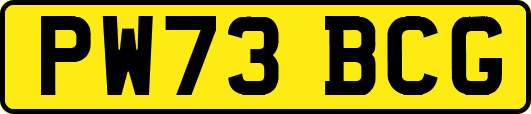 PW73BCG