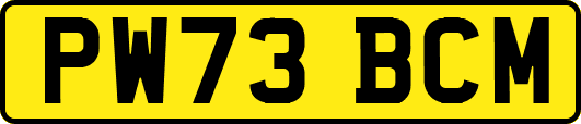 PW73BCM