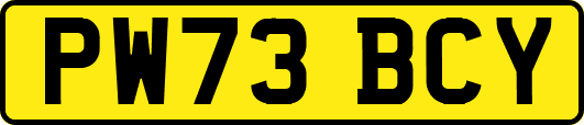 PW73BCY