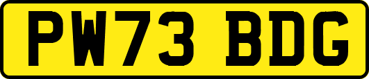 PW73BDG