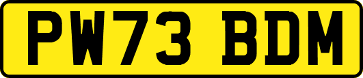 PW73BDM