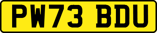 PW73BDU