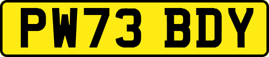 PW73BDY