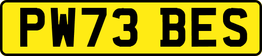 PW73BES