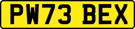 PW73BEX
