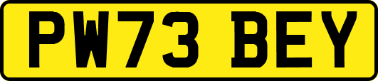 PW73BEY