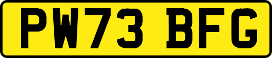 PW73BFG