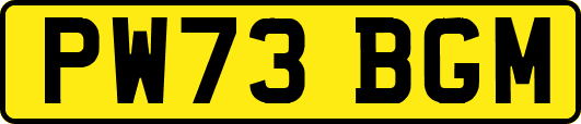PW73BGM