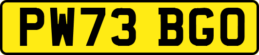 PW73BGO