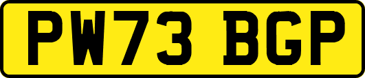 PW73BGP