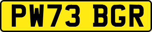 PW73BGR